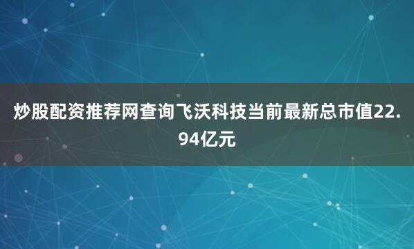 炒股配资推荐网查询飞沃科技当前最新总市值22.94亿元